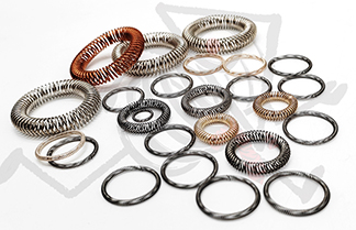 Oil Seal Spring